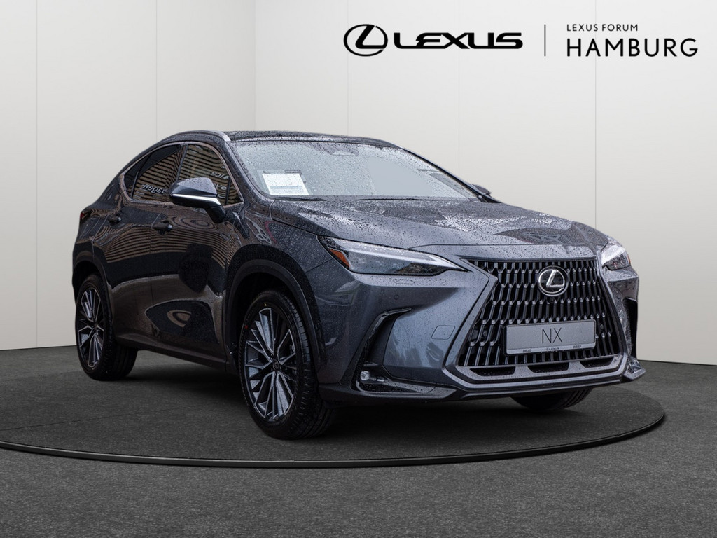 Fahrzeugansicht LEXUS NX 450h + Luxury - Bild 23