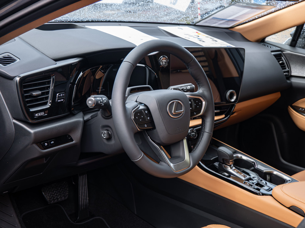 Fahrzeugansicht LEXUS NX 450h + Luxury - Bild 31