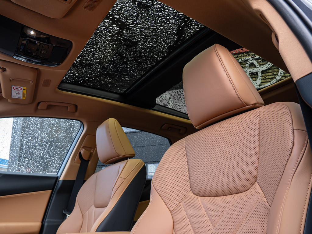 Fahrzeugansicht LEXUS NX 450h + Luxury - Bild 32