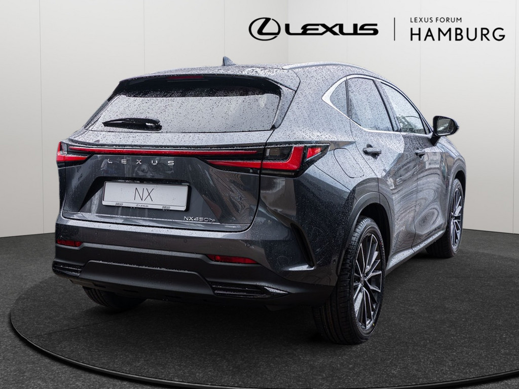 Fahrzeugansicht LEXUS NX 450h + Luxury - Bild 34