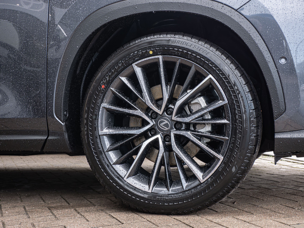 Fahrzeugansicht LEXUS NX 450h + Luxury - Bild 40