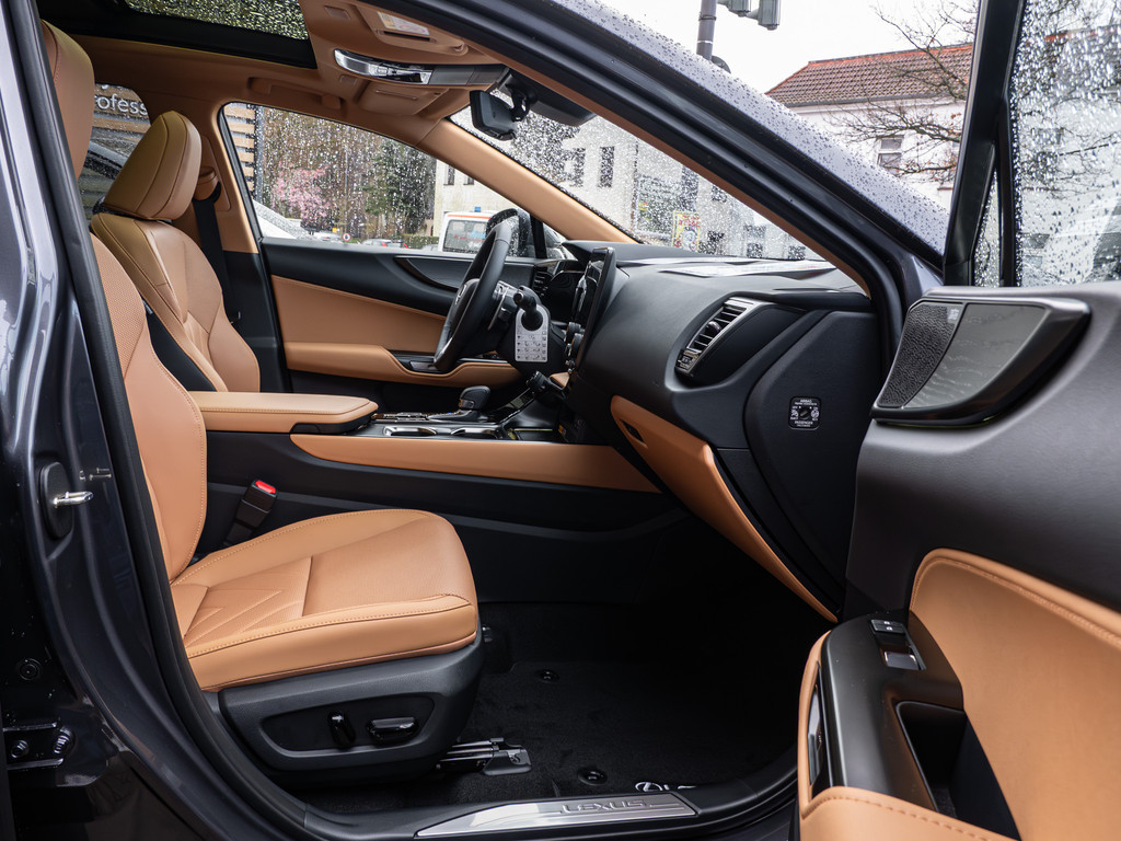 Fahrzeugansicht LEXUS NX 450h + Luxury - Bild 41