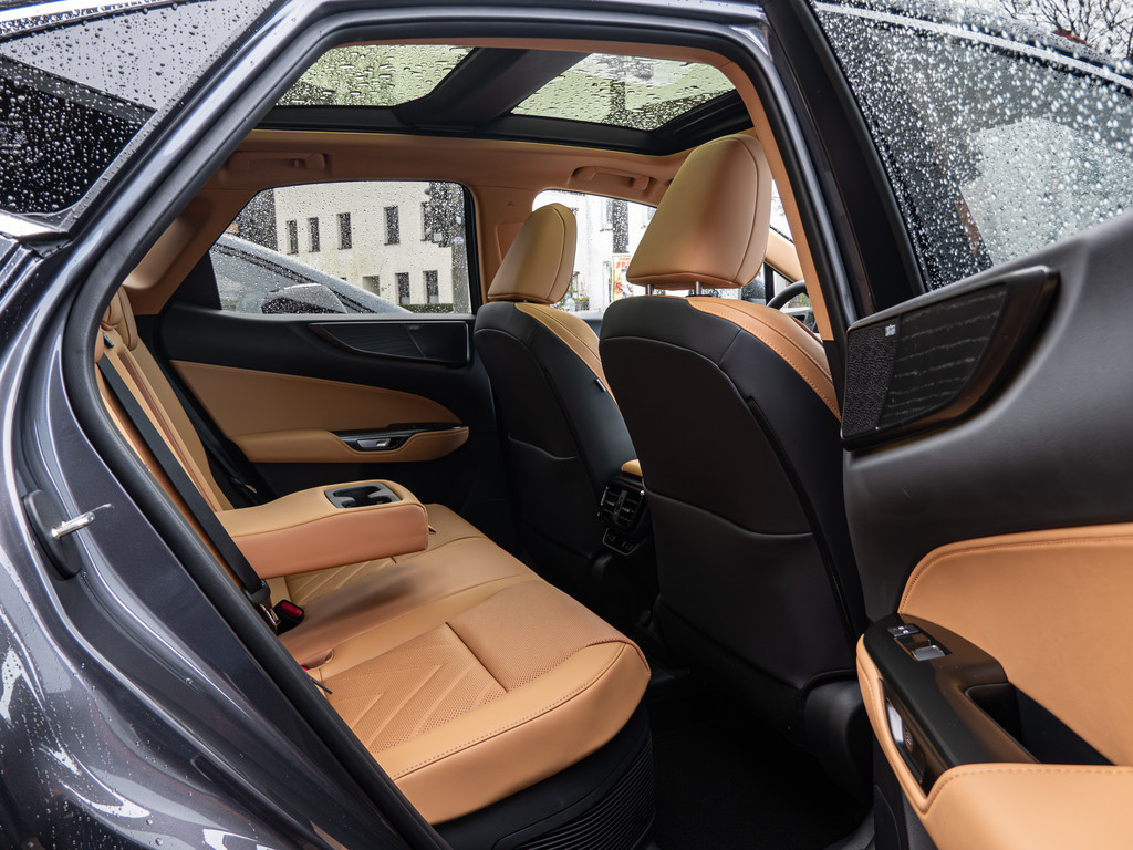 Fahrzeugansicht LEXUS NX 450h + Luxury - Bild 42