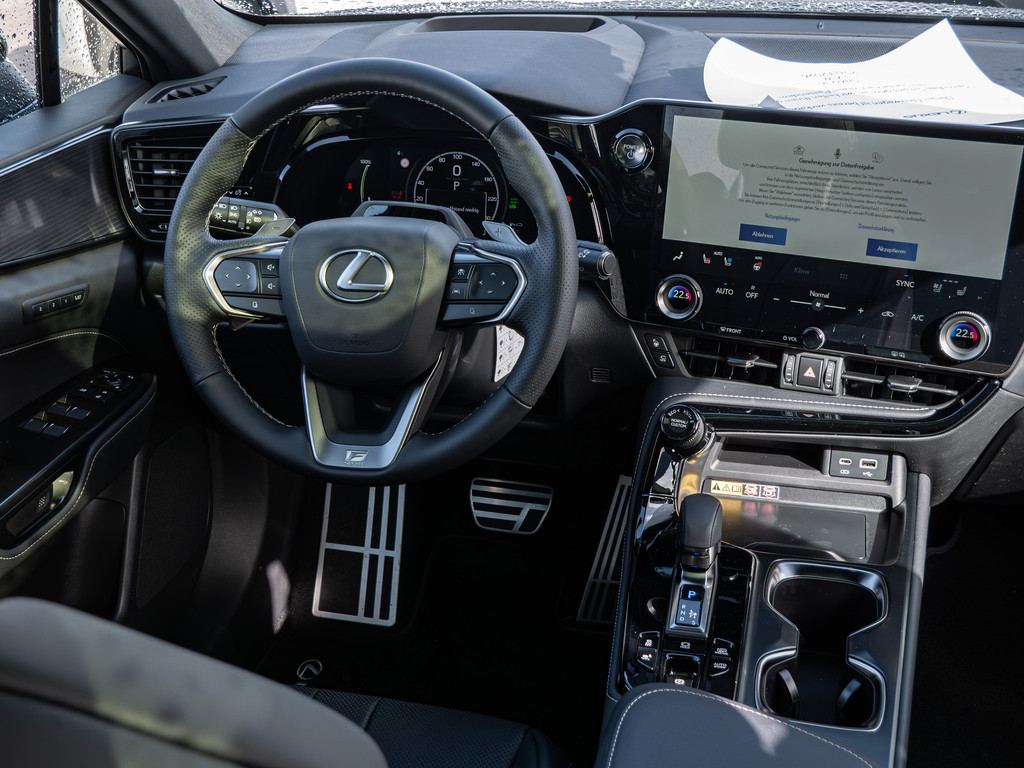 Fahrzeugansicht LEXUS NX 450h + F Sport - Bild 6