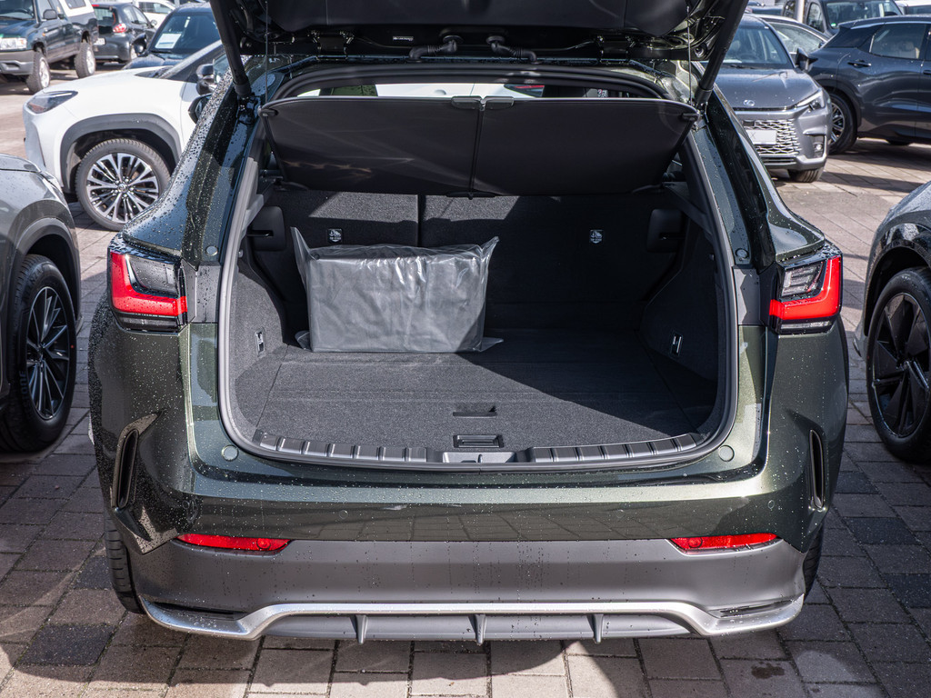 Fahrzeugansicht LEXUS NX 450h + F Sport - Bild 9