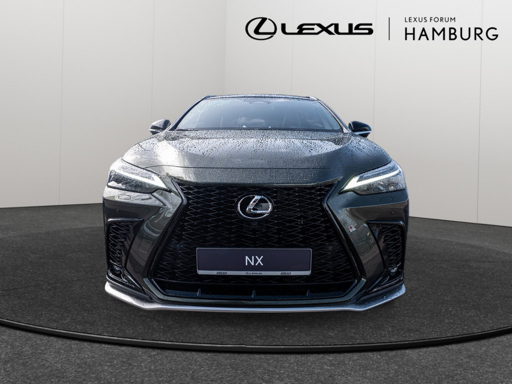 Fahrzeugansicht LEXUS NX 450h + F Sport - Bild 12
