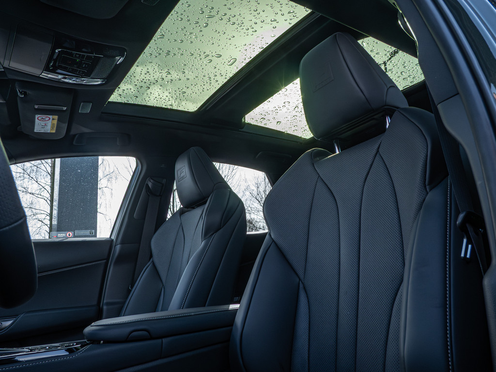 Fahrzeugansicht LEXUS NX 450h + F Sport - Bild 13