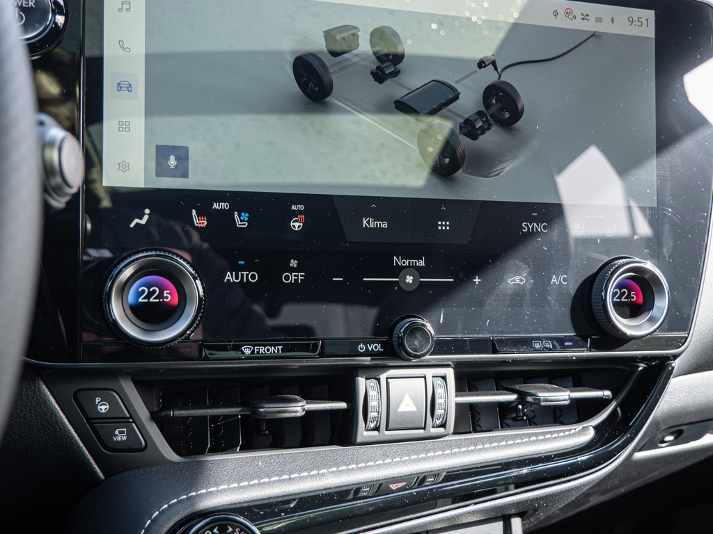 Fahrzeugansicht LEXUS NX 450h + F Sport - Bild 19