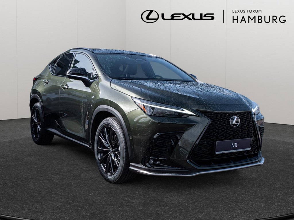 Fahrzeugansicht LEXUS NX 450h + F Sport - Bild 23