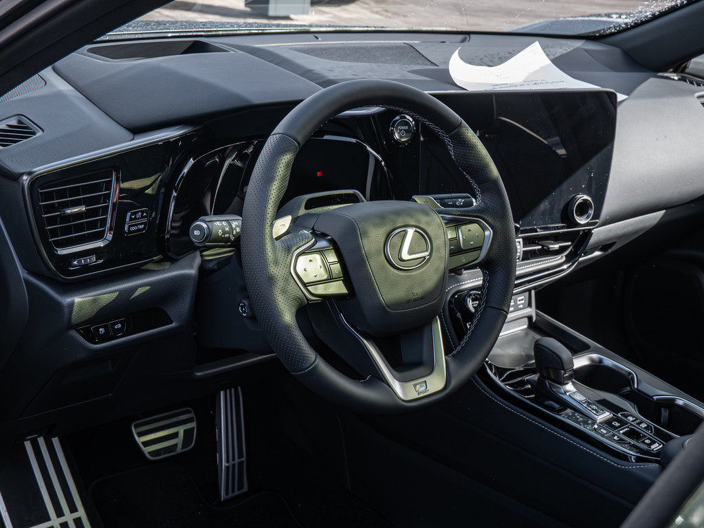 Fahrzeugansicht LEXUS NX 450h + F Sport - Bild 35