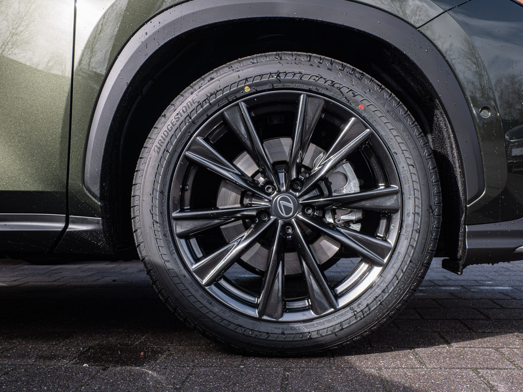 Fahrzeugansicht LEXUS NX 450h + F Sport - Bild 42