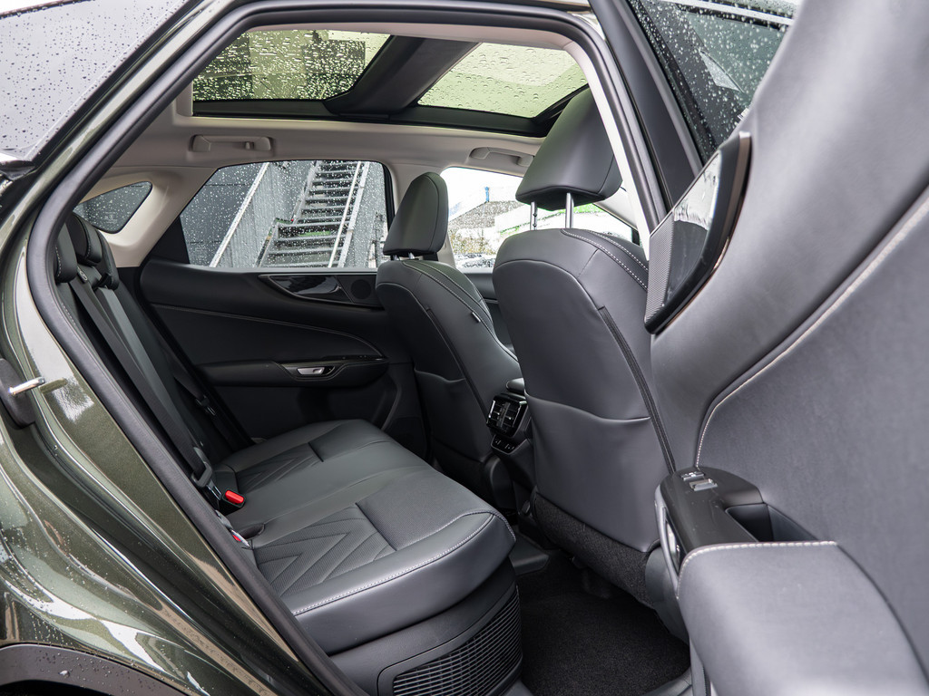 Fahrzeugansicht LEXUS NX 450h + Executive - Bild 6