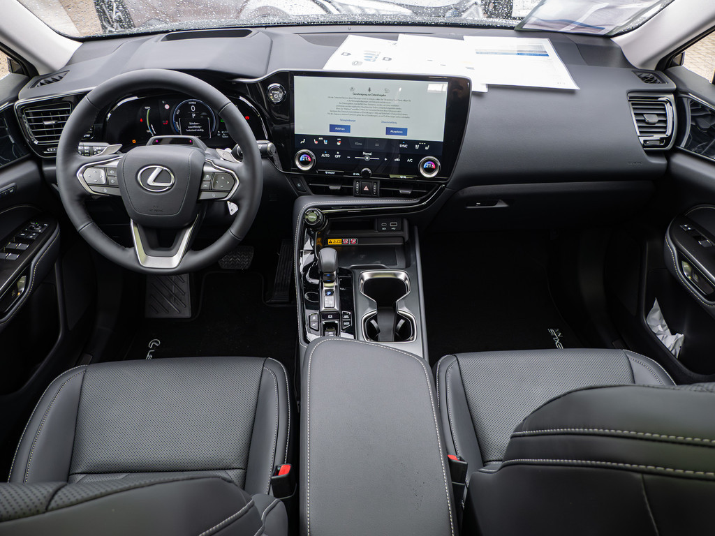 Fahrzeugansicht LEXUS NX 450h + Executive - Bild 7