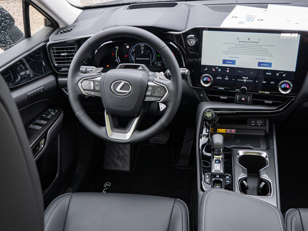 Fahrzeugansicht LEXUS NX 450h + Executive - Bild 8