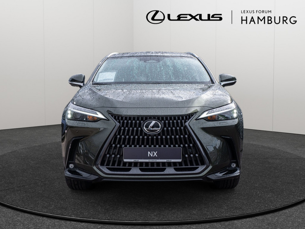 Fahrzeugansicht LEXUS NX 450h + Executive - Bild 12