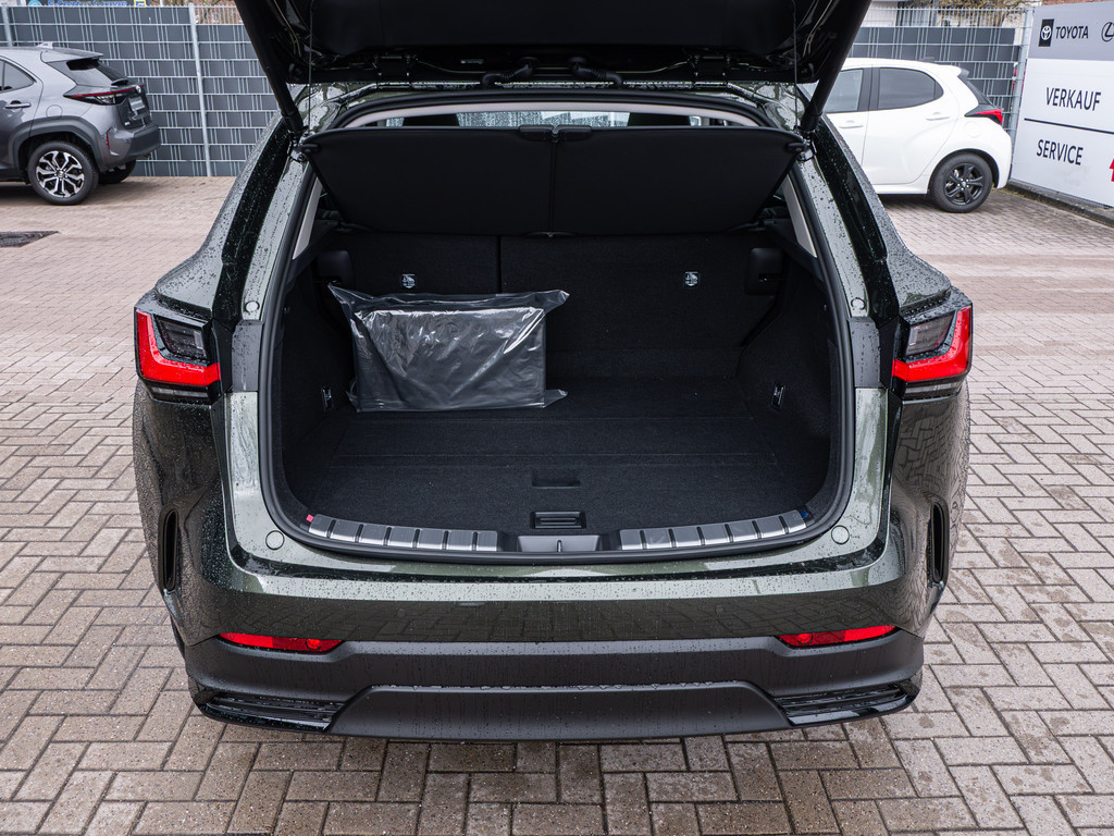 Fahrzeugansicht LEXUS NX 450h + Executive - Bild 13