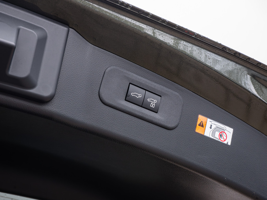 Fahrzeugansicht LEXUS NX 450h + Executive - Bild 14