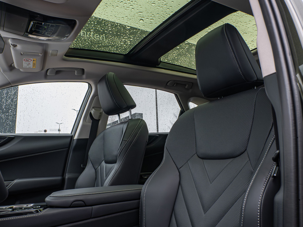 Fahrzeugansicht LEXUS NX 450h + Executive - Bild 15