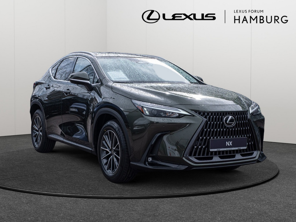 Fahrzeugansicht LEXUS NX 450h + Executive - Bild 23