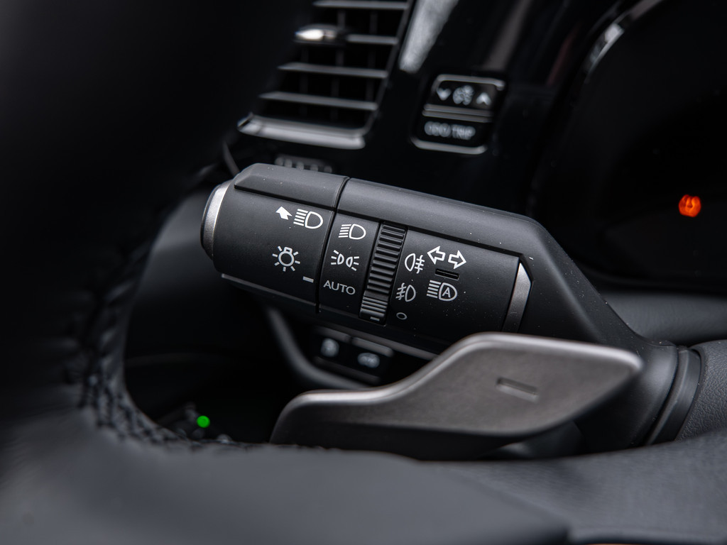 Fahrzeugansicht LEXUS NX 450h + Executive - Bild 31