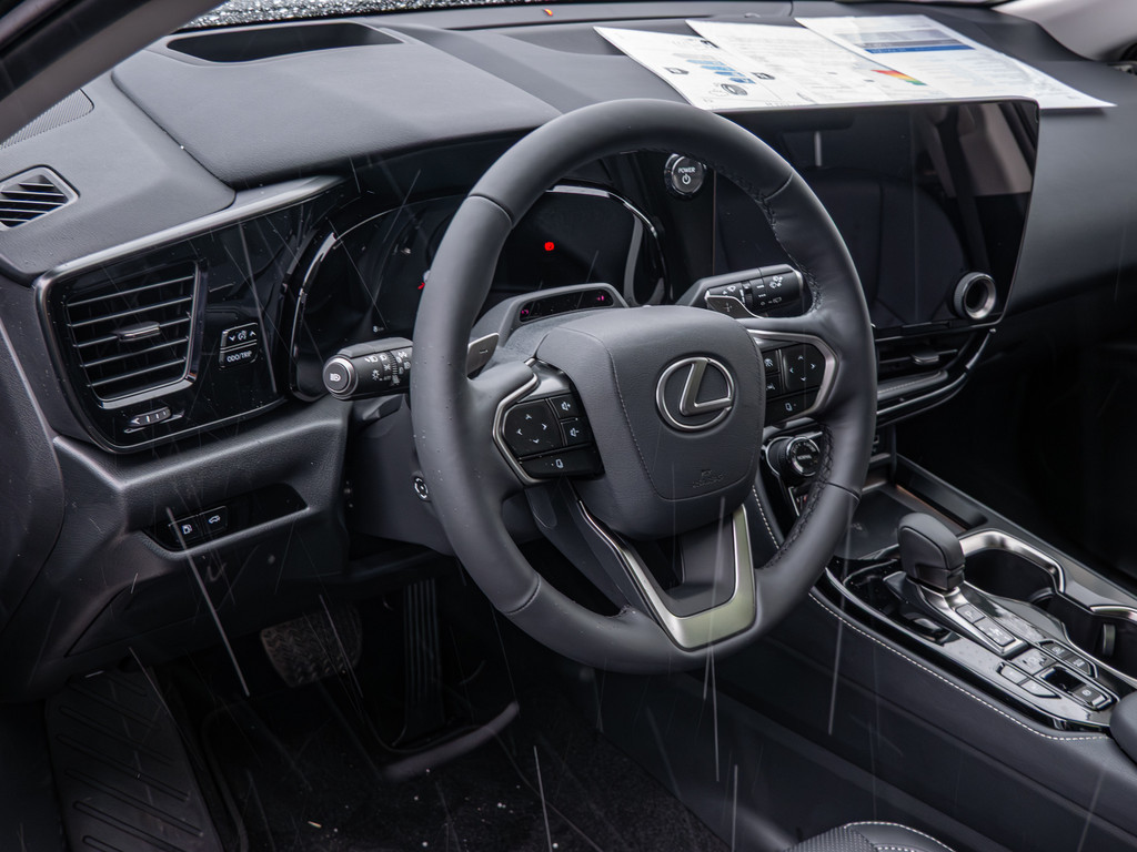 Fahrzeugansicht LEXUS NX 450h + Executive - Bild 36