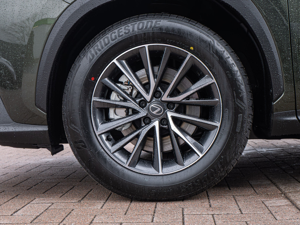 Fahrzeugansicht LEXUS NX 450h + Executive - Bild 43