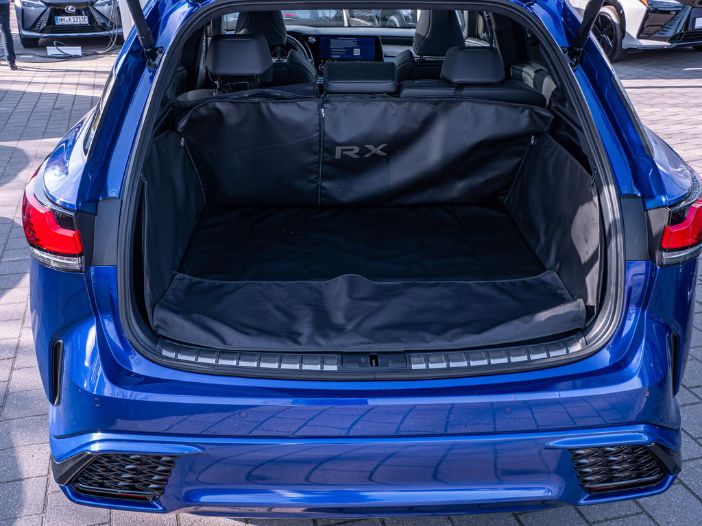 Fahrzeugansicht LEXUS RX 500h DIRECT4 F SPORT+ - Bild 11