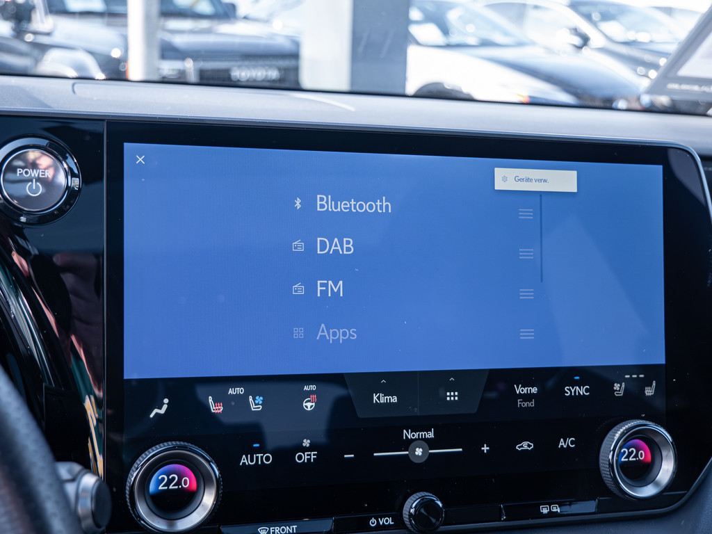 Fahrzeugansicht LEXUS RX 500h DIRECT4 F SPORT+ - Bild 17