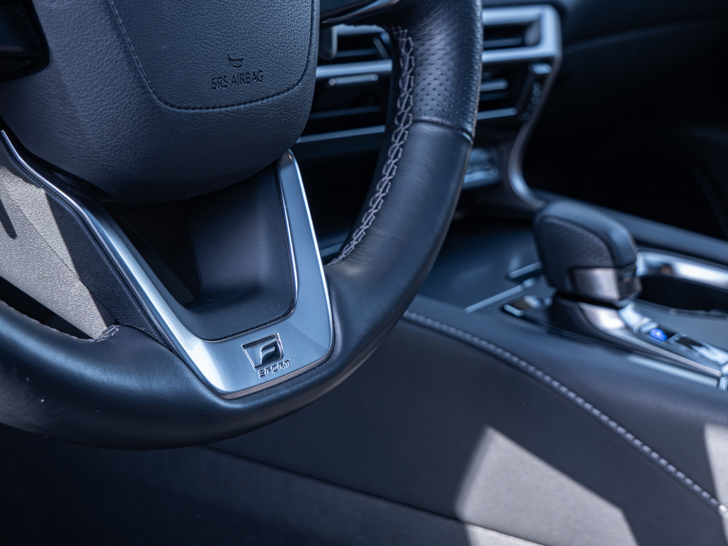 Fahrzeugansicht LEXUS RX 500h DIRECT4 F SPORT+ - Bild 39