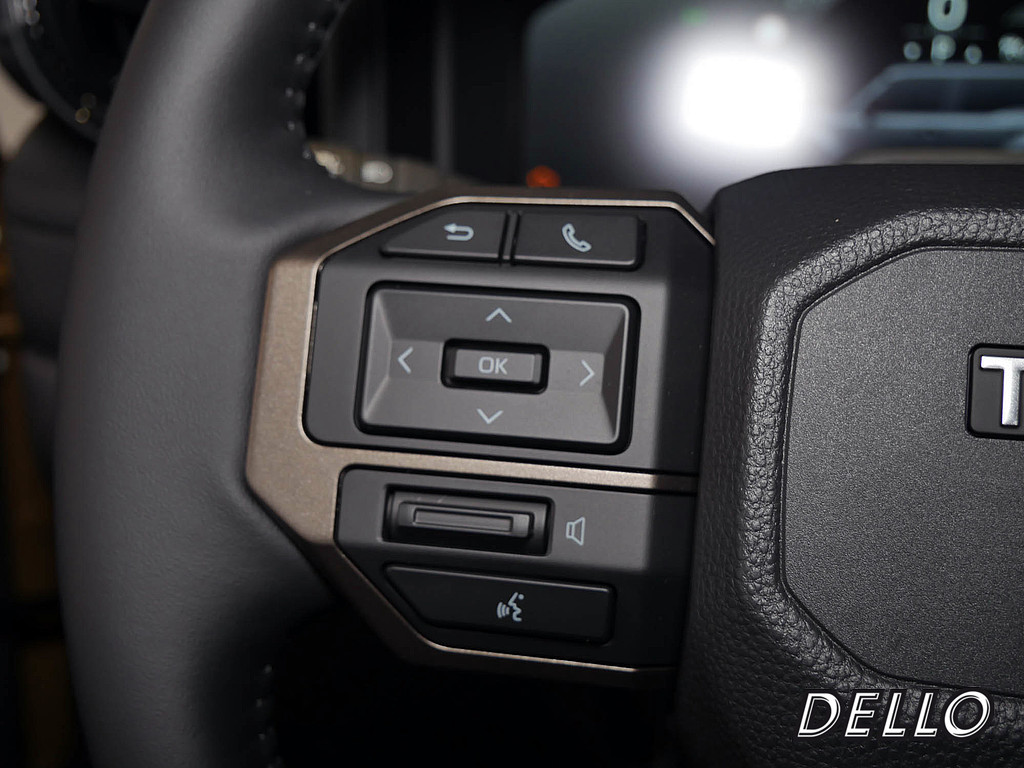 Fahrzeugansicht TOYOTA Land Cruiser 2.8 D-4D Executive - Bild 31