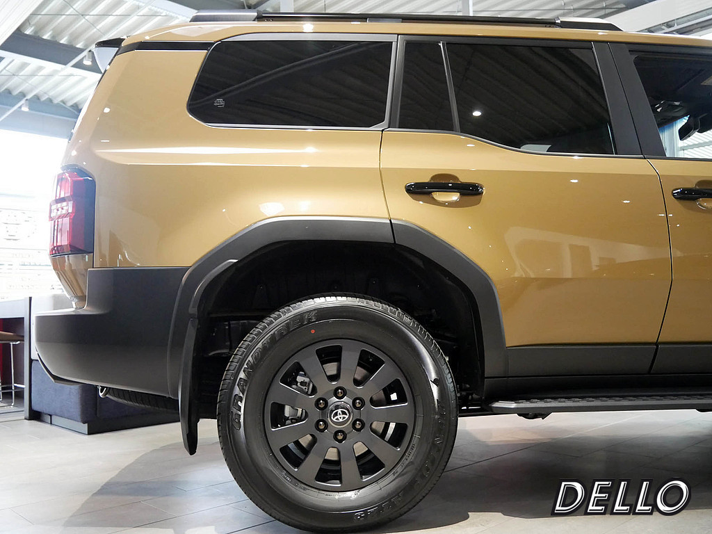 Fahrzeugansicht TOYOTA Land Cruiser 2.8 D-4D Executive - Bild 41