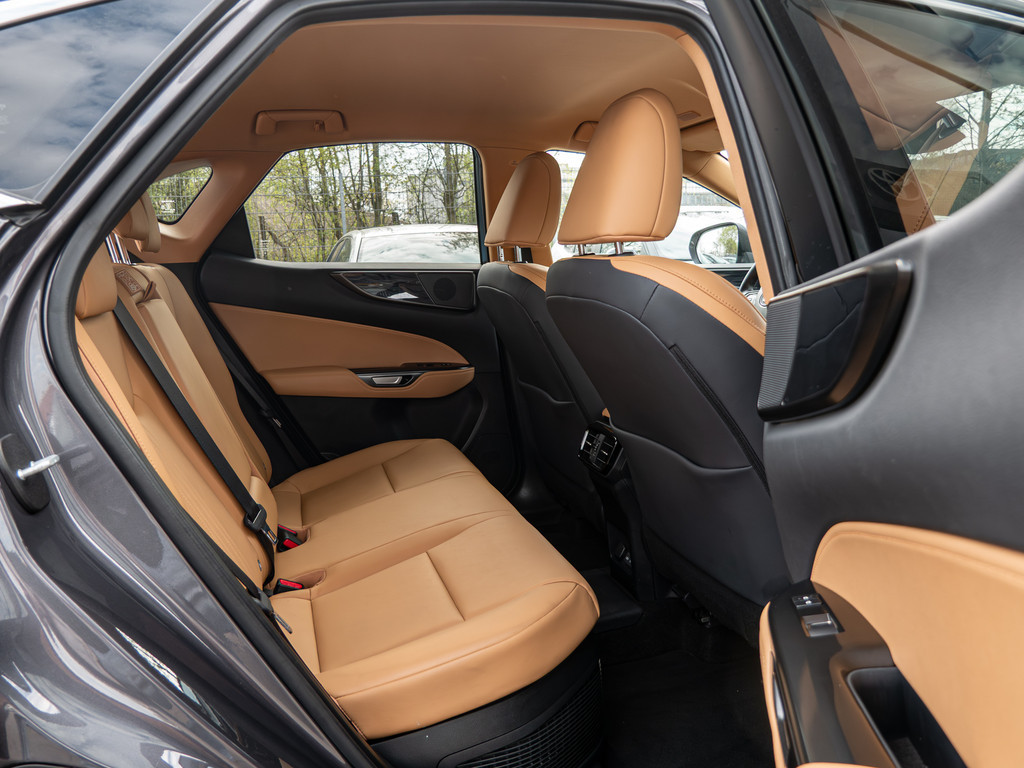 Fahrzeugansicht LEXUS NX 450h + Business - Bild 5