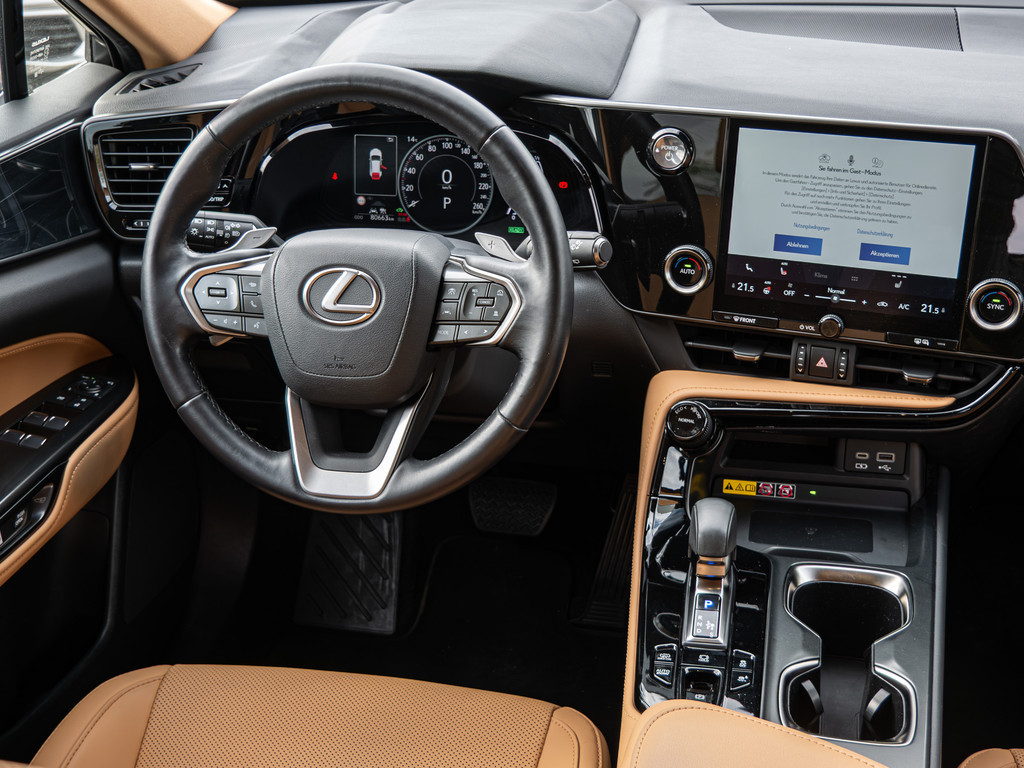 Fahrzeugansicht LEXUS NX 450h + Business - Bild 7