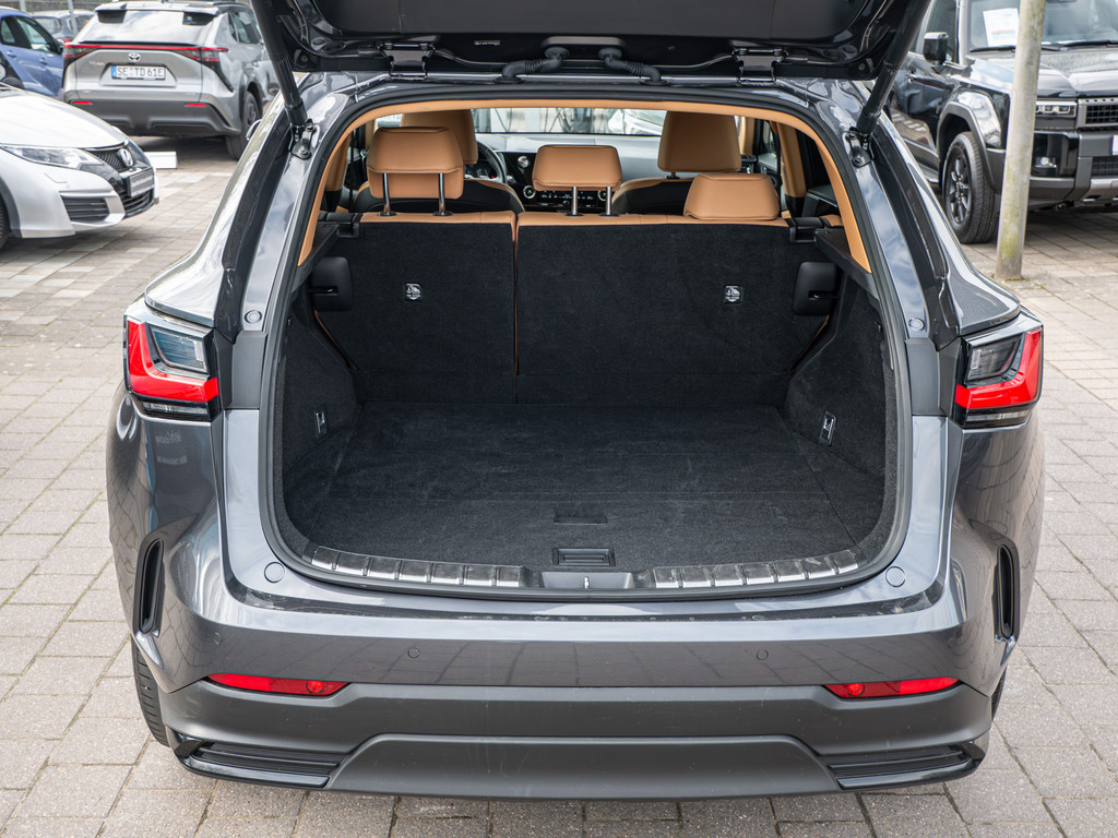 Fahrzeugansicht LEXUS NX 450h + Business - Bild 10