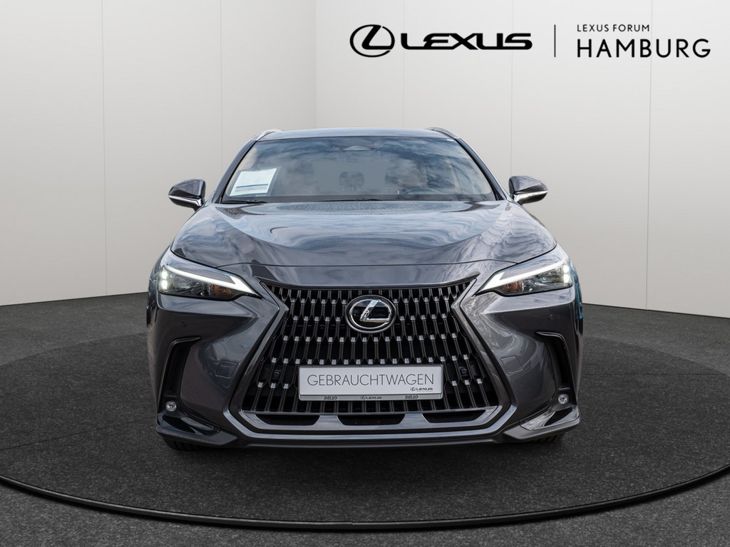 Fahrzeugansicht LEXUS NX 450h + Business - Bild 12