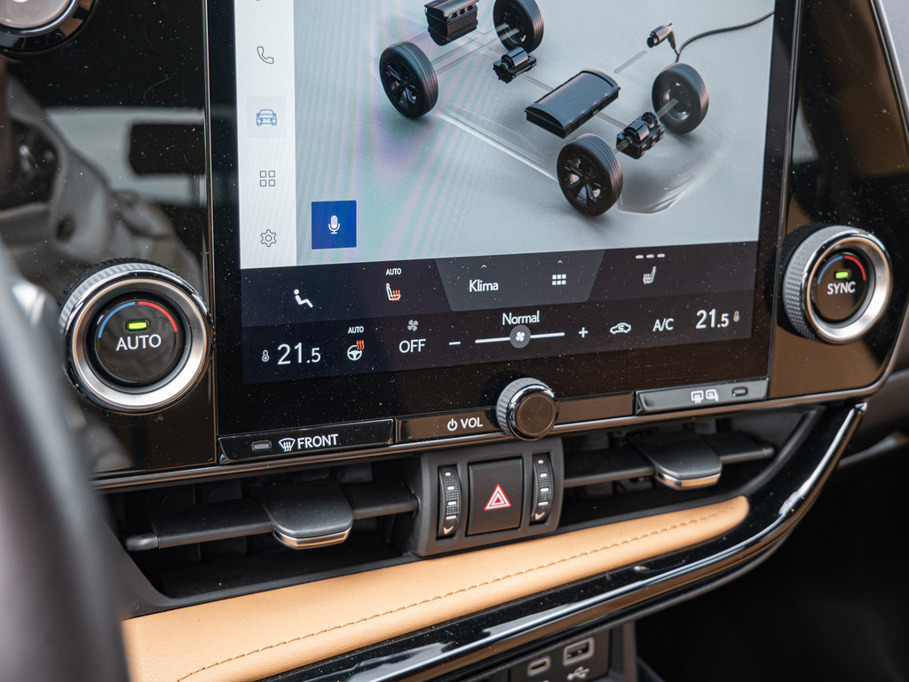 Fahrzeugansicht LEXUS NX 450h + Business - Bild 17