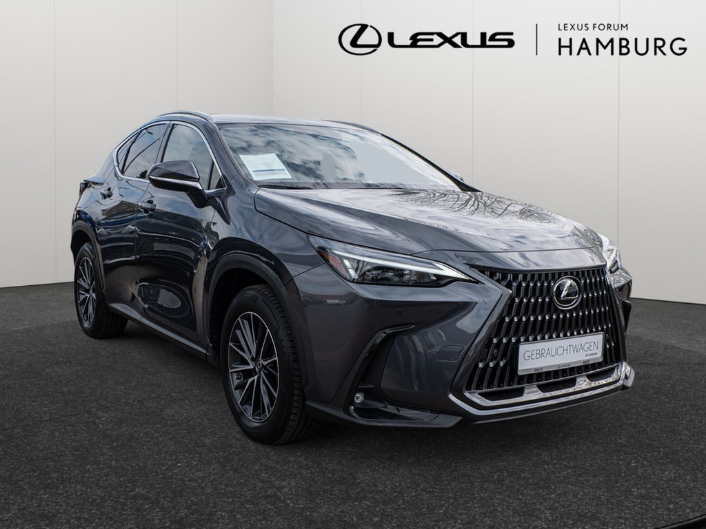 Fahrzeugansicht LEXUS NX 450h + Business - Bild 23