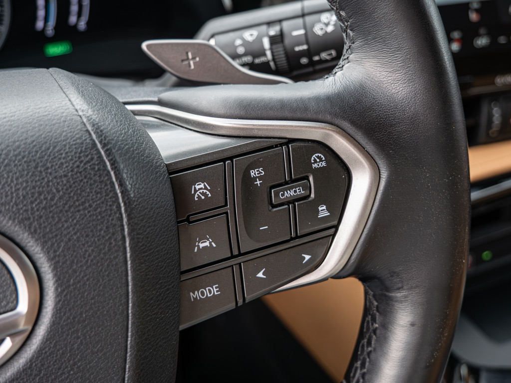 Fahrzeugansicht LEXUS NX 450h + Business - Bild 28