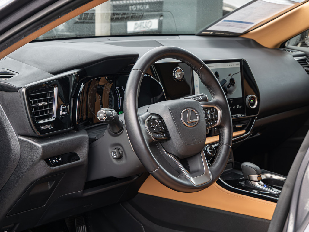 Fahrzeugansicht LEXUS NX 450h + Business - Bild 33