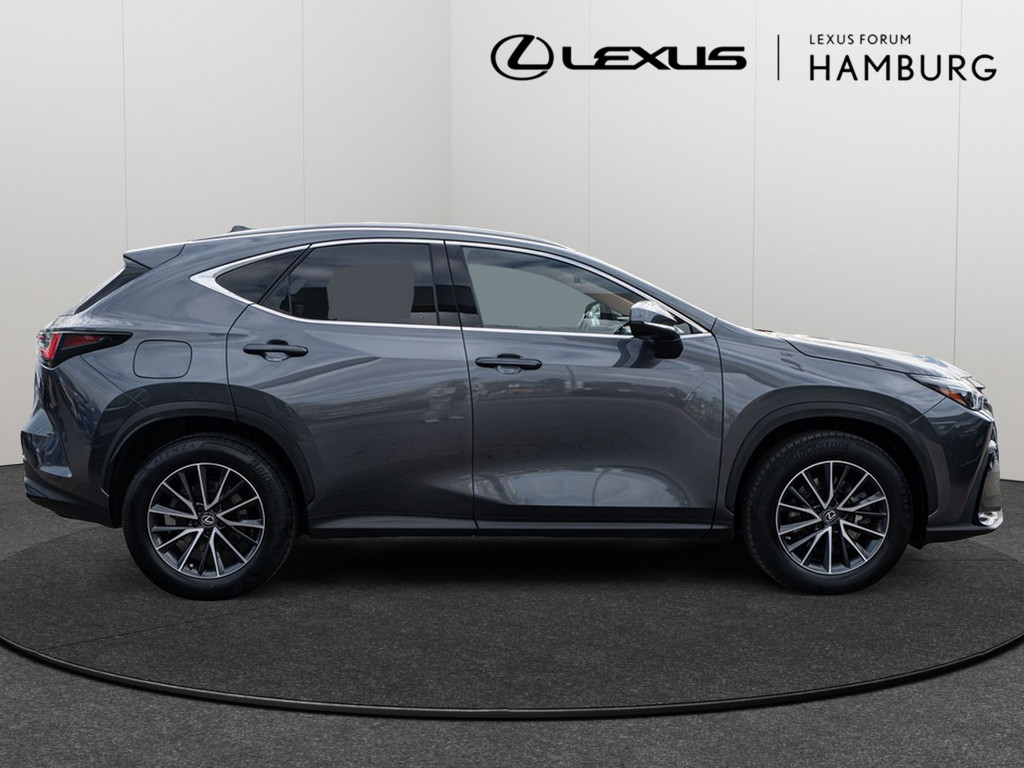 Fahrzeugansicht LEXUS NX 450h + Business - Bild 34
