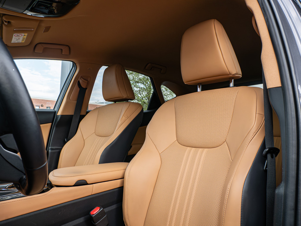 Fahrzeugansicht LEXUS NX 450h + Business - Bild 36