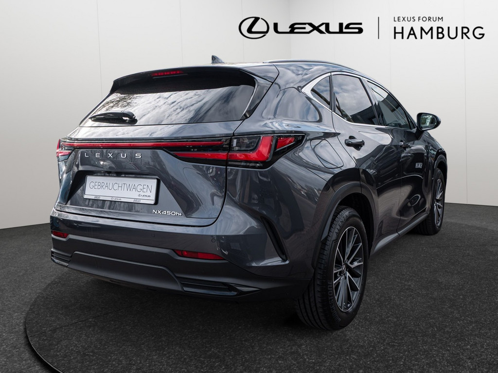 Fahrzeugansicht LEXUS NX 450h + Business - Bild 41