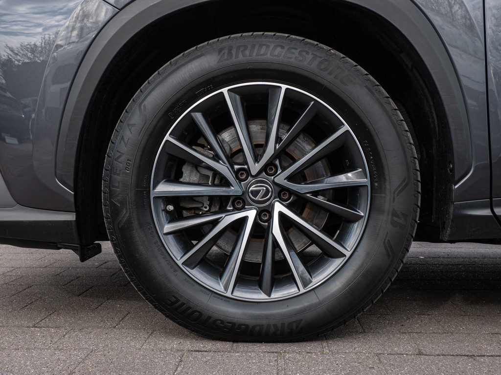 Fahrzeugansicht LEXUS NX 450h + Business - Bild 44