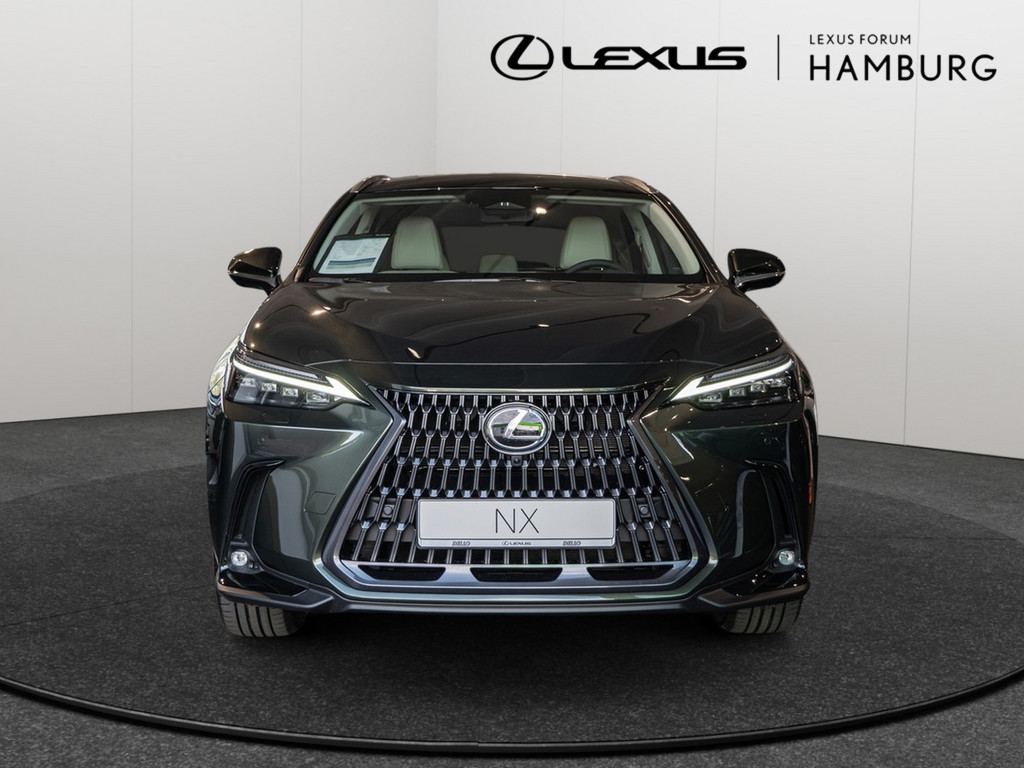 Fahrzeugansicht LEXUS NX 450h + Luxury - Bild 12