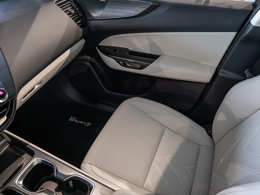 Fahrzeugansicht LEXUS NX 450h + Luxury - Bild 20