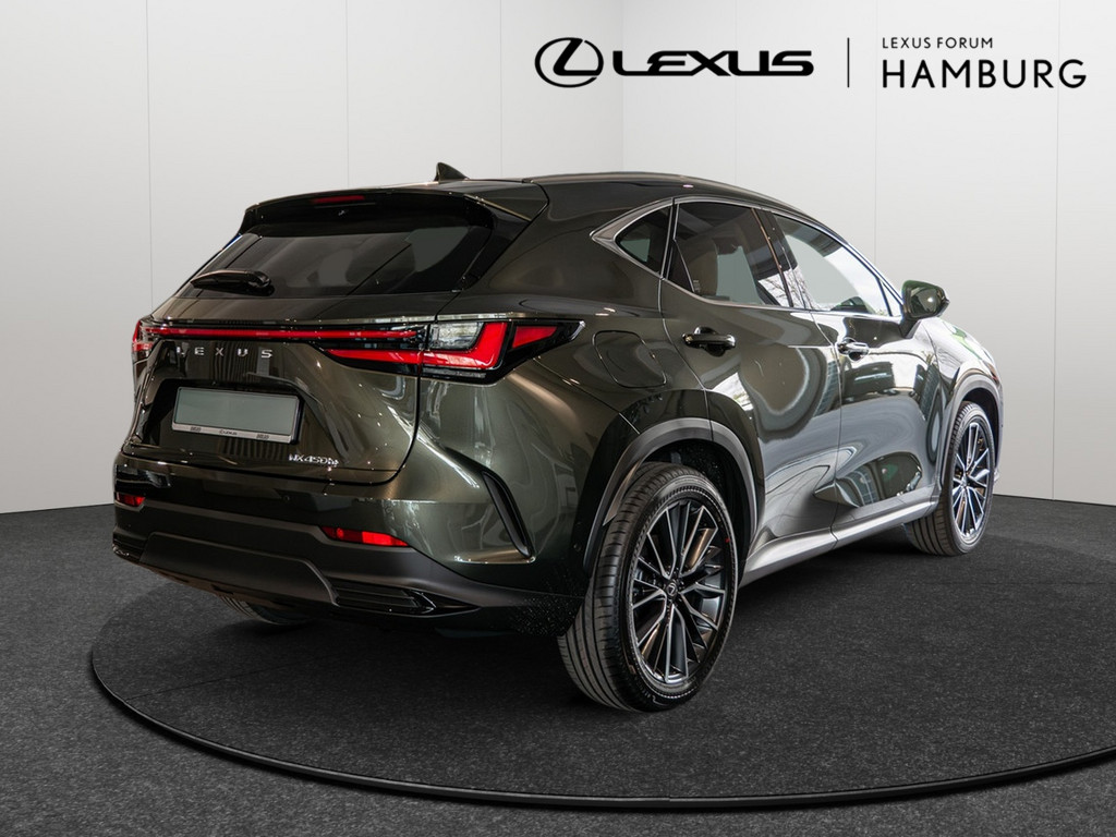 Fahrzeugansicht LEXUS NX 450h + Luxury - Bild 23