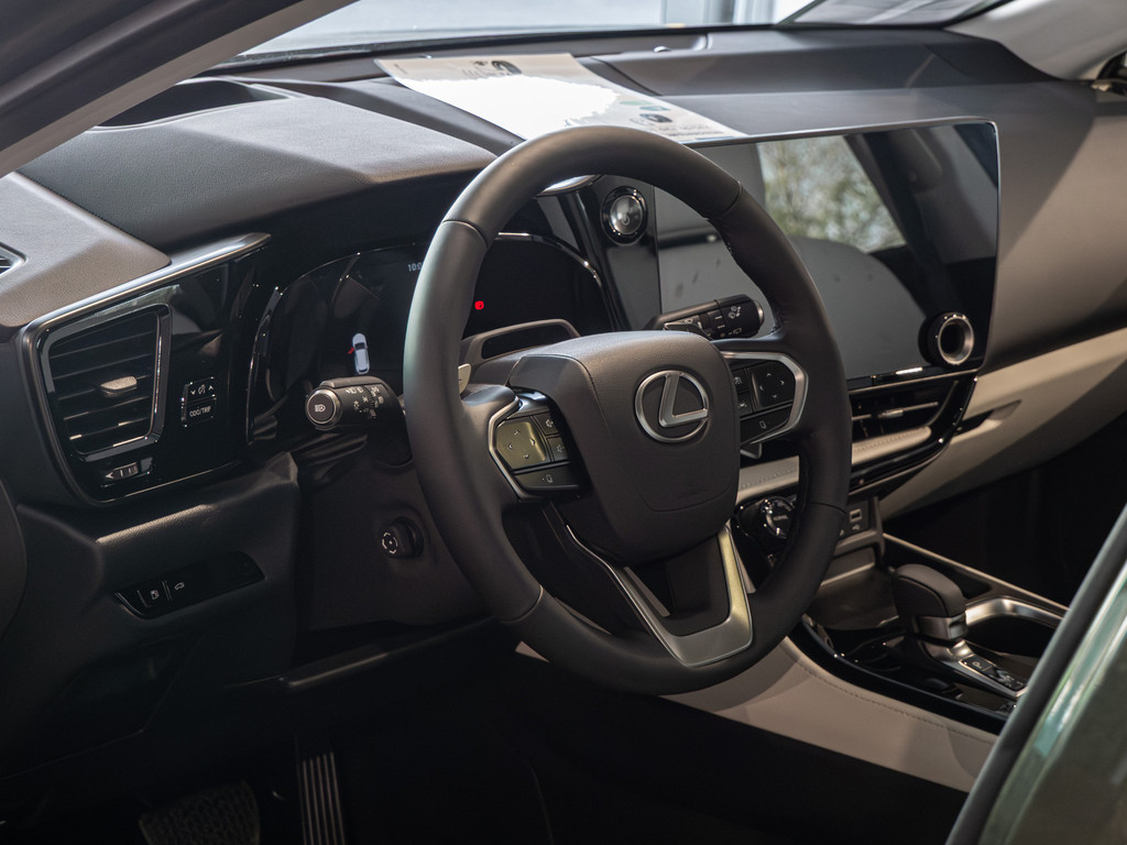 Fahrzeugansicht LEXUS NX 450h + Luxury - Bild 29