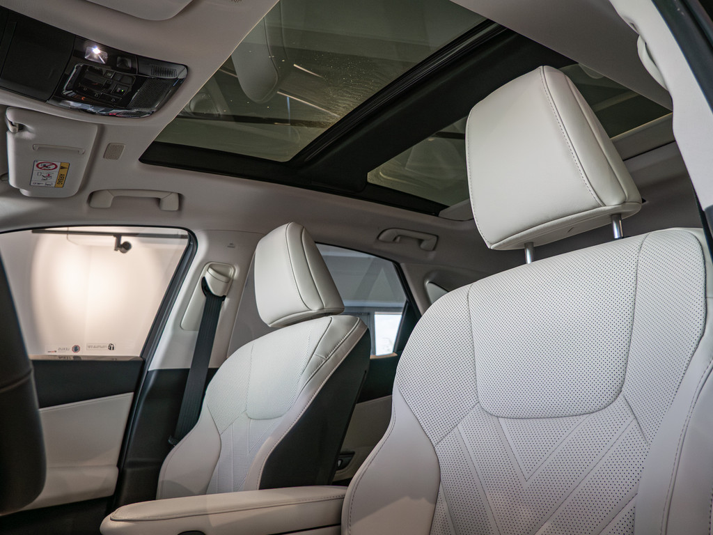 Fahrzeugansicht LEXUS NX 450h + Luxury - Bild 31