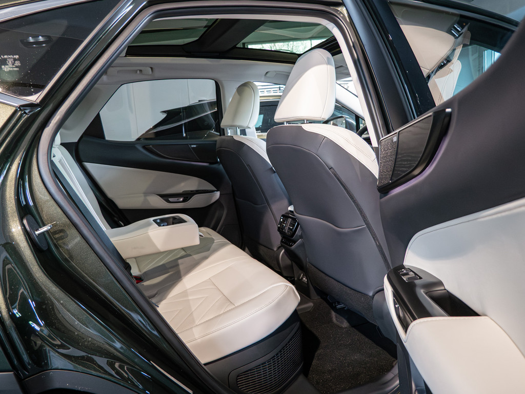 Fahrzeugansicht LEXUS NX 450h + Luxury - Bild 38