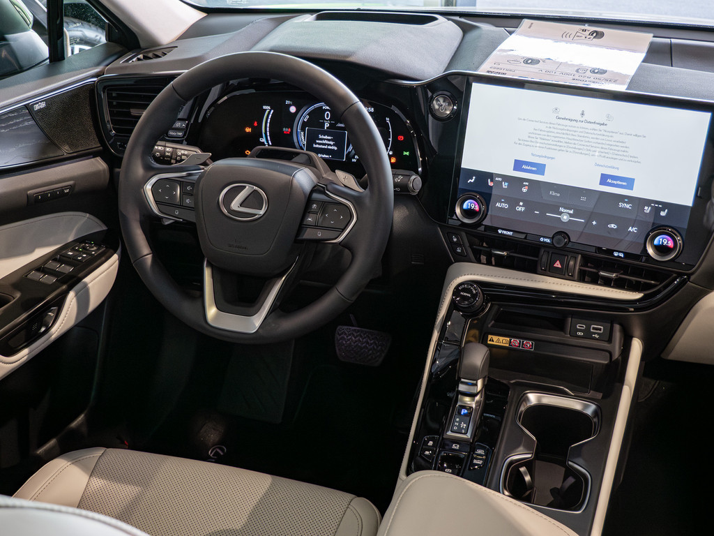 Fahrzeugansicht LEXUS NX 450h + Luxury - Bild 40